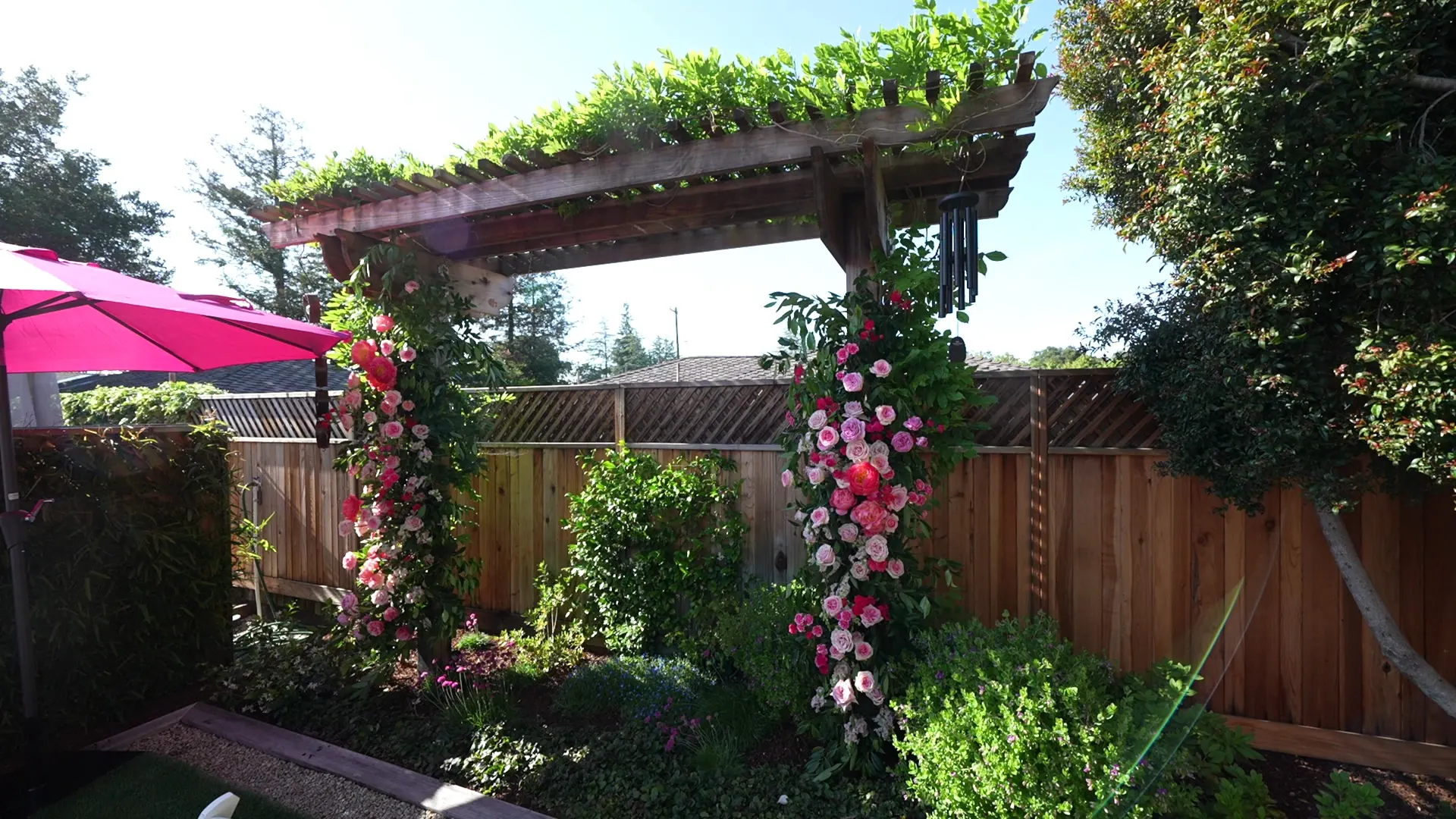 Backyard pergola covered in pink and coral roses at a Castro Valley event