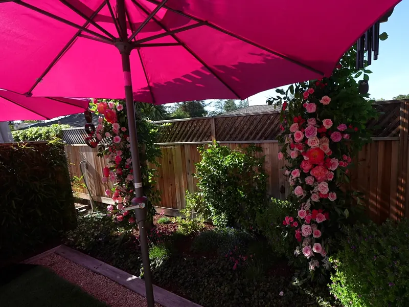 Backyard Tri-Valley event with a rose floral arch and market umbrella in the sun