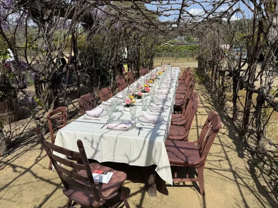 Vineyard long table with a run of small blossom arrangements and simple settings between the vines — vineyard floral styling for Livermore Valley catering